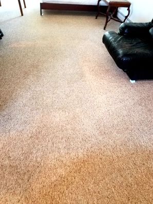 Carpet Cleaning in Shirley