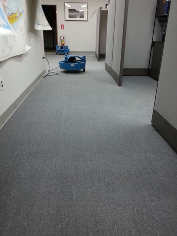 Commercial Carpet Cleaning Hauppauge, NY