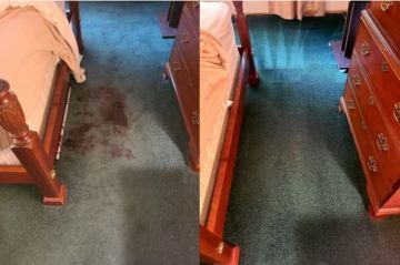 Carpet Stain Removal in Greenport