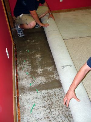 Southold water damaged carpet being removed by two men.
