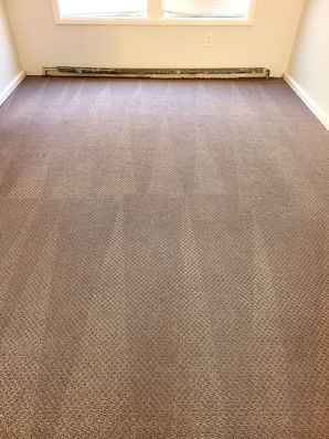 Before & After Carpet Cleaning in Yaphank, NY (2)