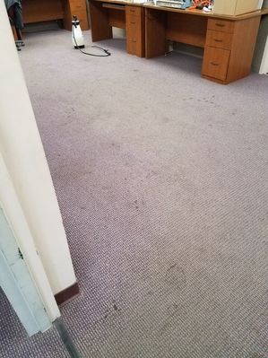 Before & After Commercial Carpet Cleaning in Hauppauge, NY (1)