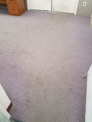 Before & After Commercial Carpet Cleaning in Hauppauge, NY (1)