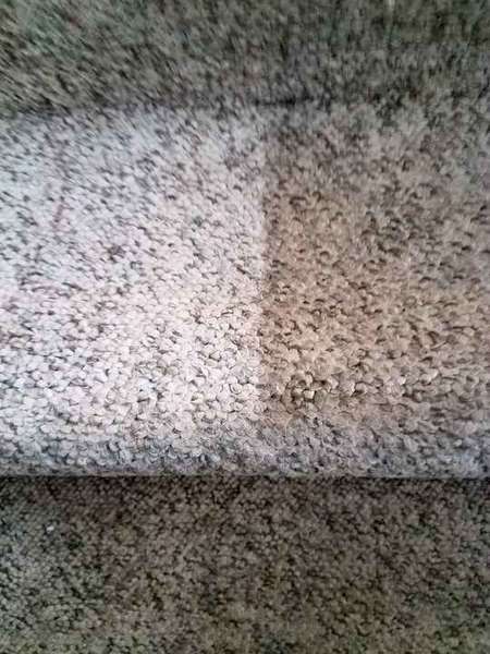 Carpet Cleaning in Greenport, NY (1)