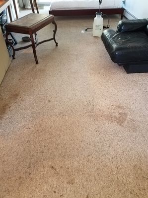 Before & After Carpet Cleaning in Southampton, NY (1)