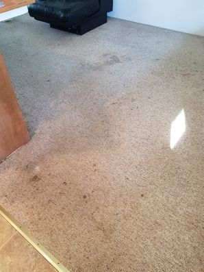 Before & After Carpet Cleaning in Southampton, NY (2)