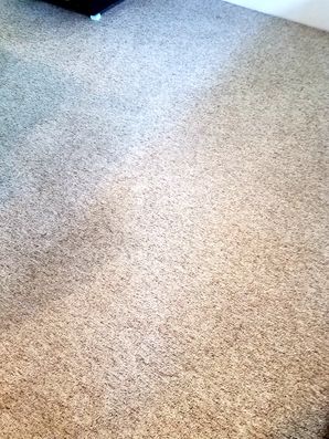 Before & After Carpet Cleaning in Southampton, NY (3)