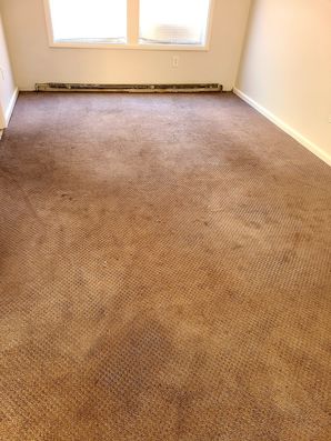 Before & After Carpet Cleaning in Yaphank, NY (1)