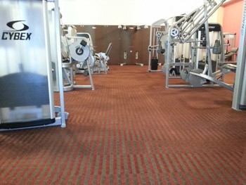 Gold's Gym Carpet Cleaning 