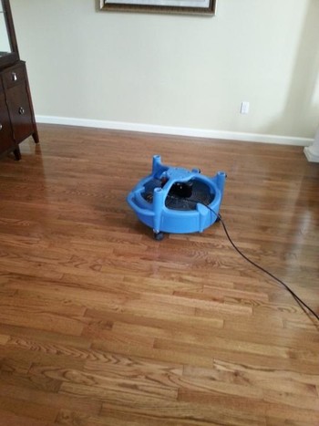 Let Hydrofresh Put A Shine Back Into Your Wood Floors