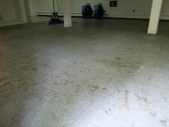 Before, During & After Floor Cleaning Huntington, NY